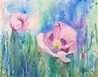Lila Mohn - Acryl