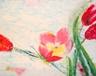Tulpenblüte - Acryl