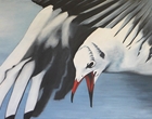 Möwe im Greifflug - Acryl