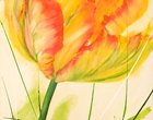 Tulpenfieber - Acryl